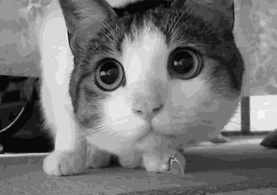 2020版最新法官、检察官表情大全！哈哈哈