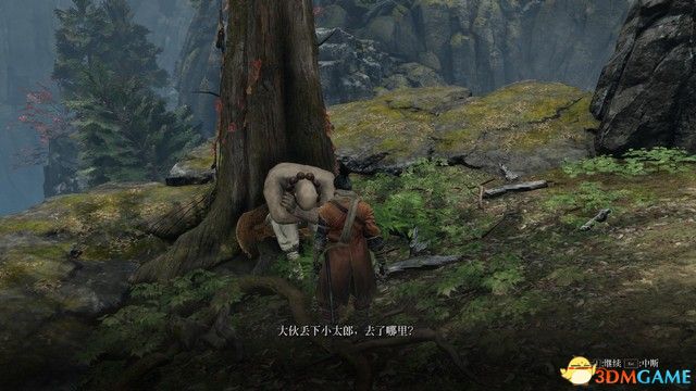 《只狼：影逝二度》全支线任务图文攻略 支线任务大全