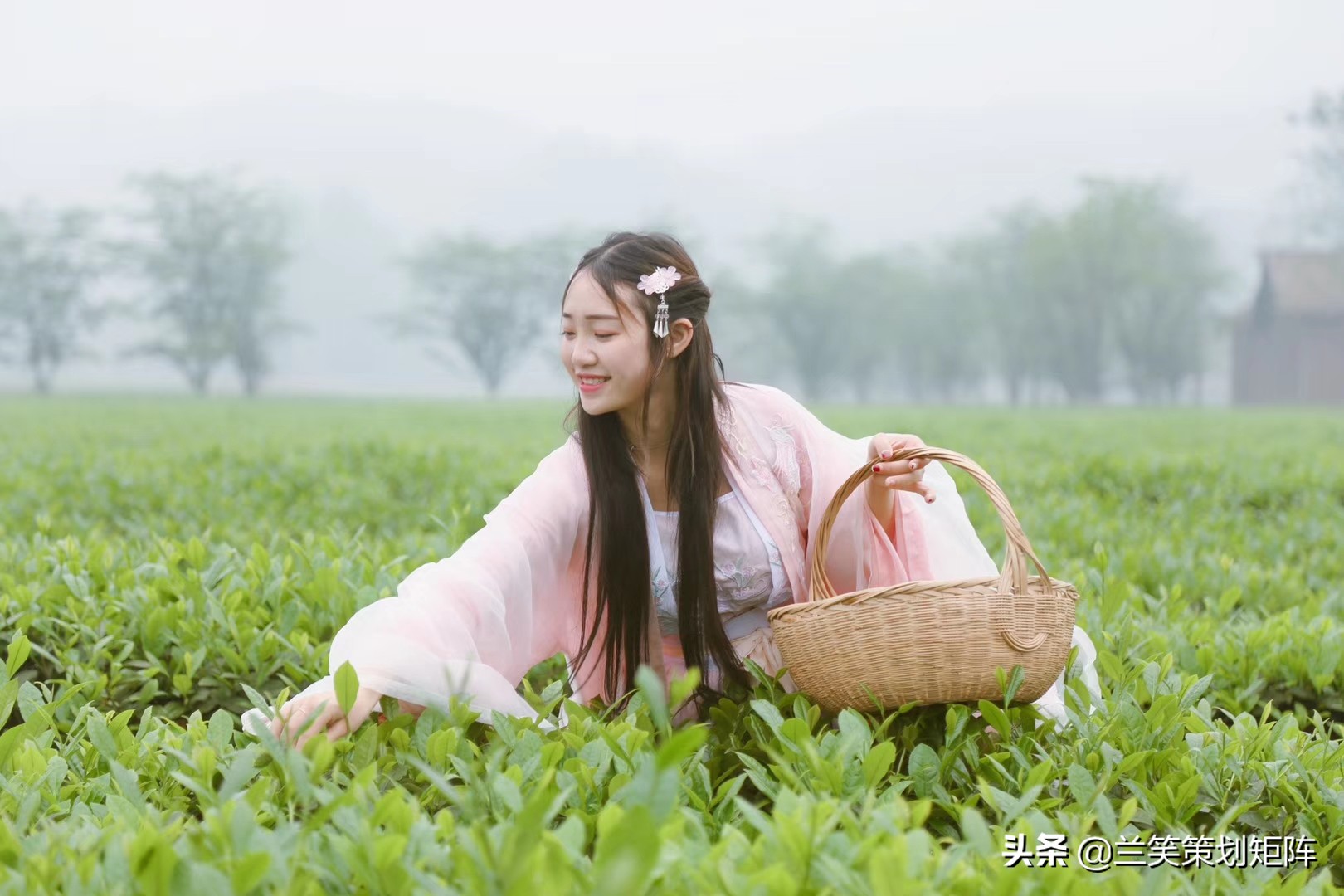 诗情桃花源 | 此生，只为你盛开这朵桃