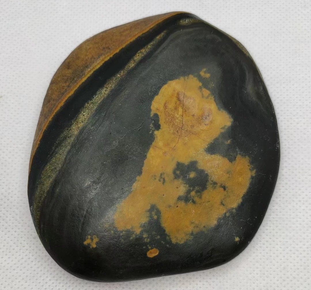 黄河石头鱼怎么养不容易死「记得收藏」 -骁龙网