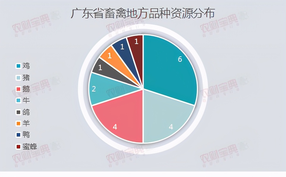 广东畜禽种业大数据：国家核心育种场生猪10家、肉鸡8家，领跑全国！| 农财数读