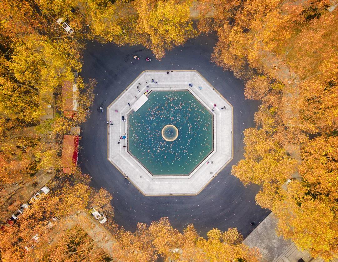 东南大学面积（坐拥三大校区）