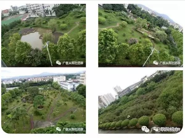 2020年广东3+证书最低录取210分，广州卫生职业技术学院介绍