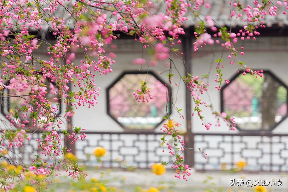 人间芳菲未尽，花海醉游人