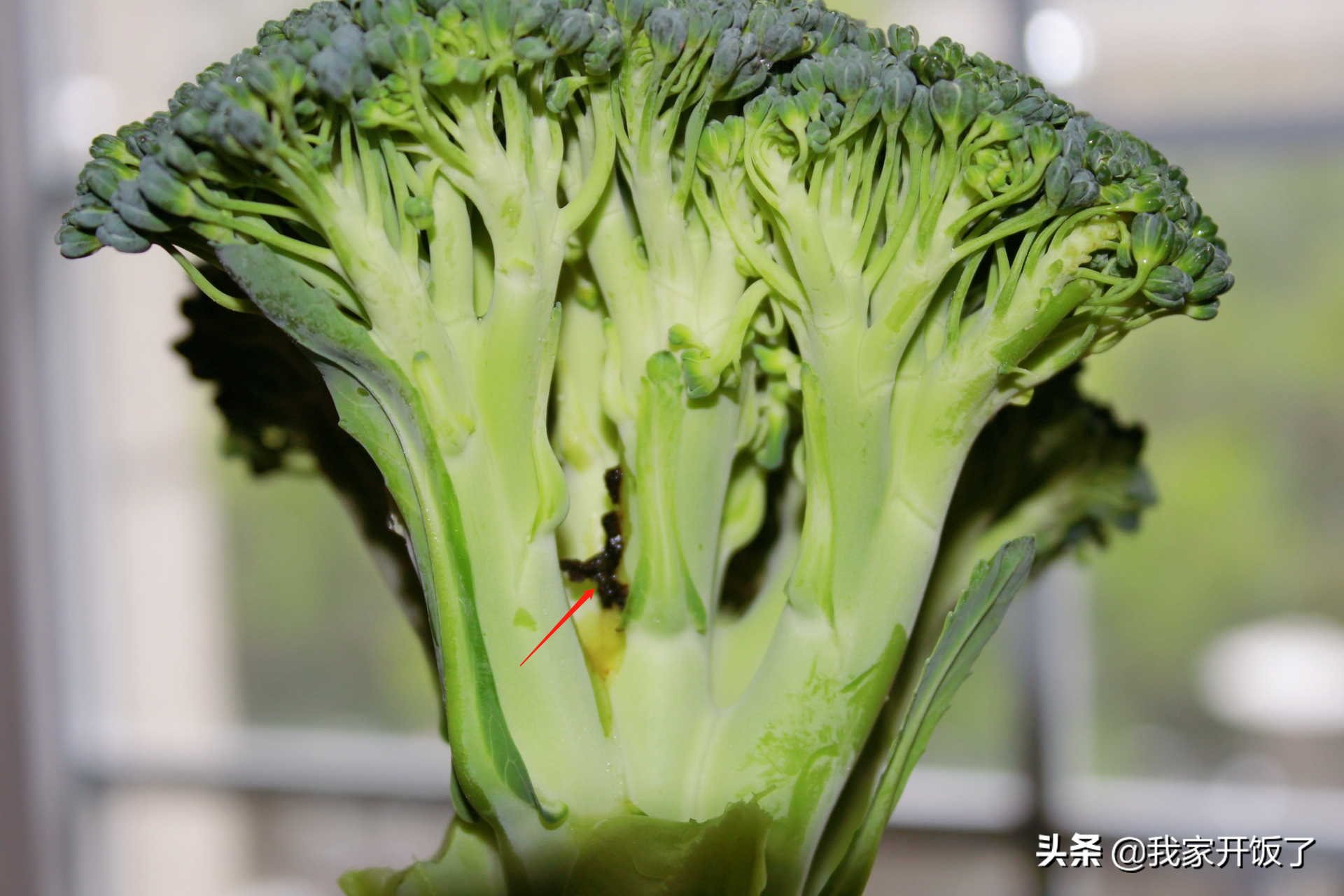教你如何正确挑选和清洗西兰花，很实用