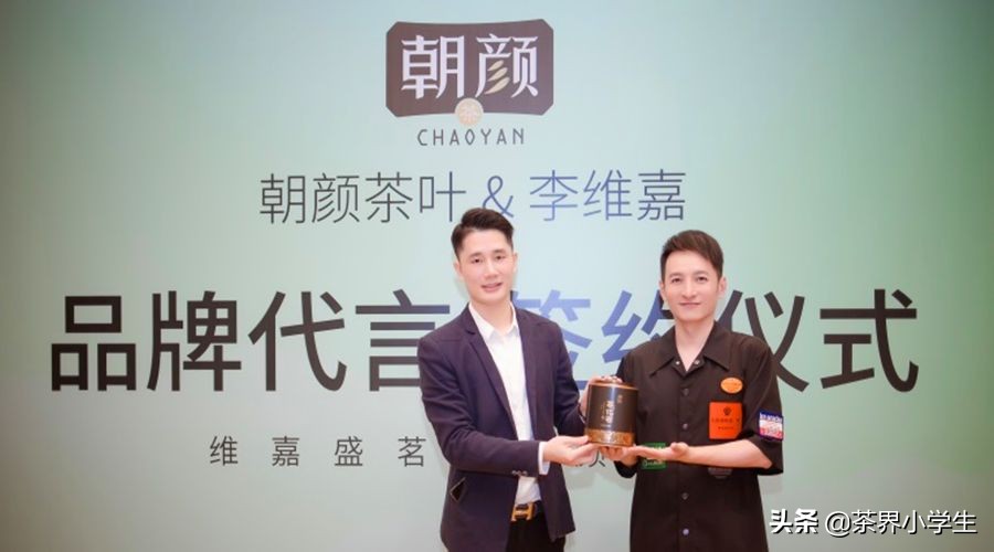2019年双11，普洱茶热销品牌10强背后的故事
