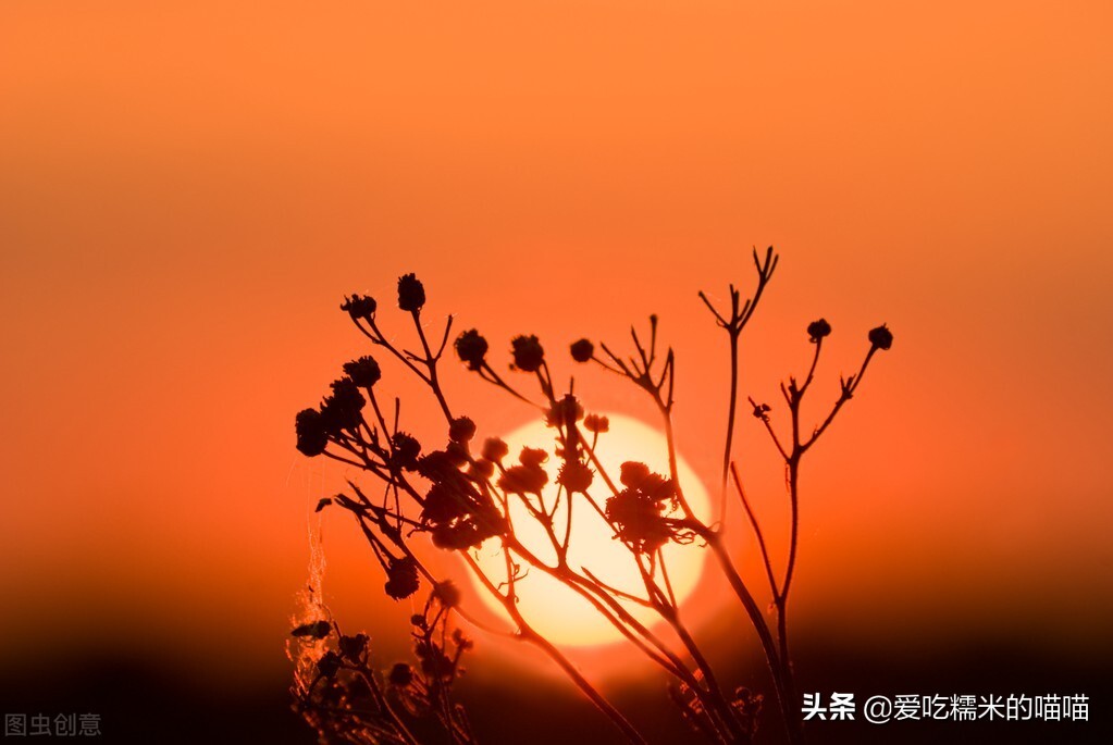 爸爸离世后陷入绝望，如何走出阴霾重拾生活希望与勇气