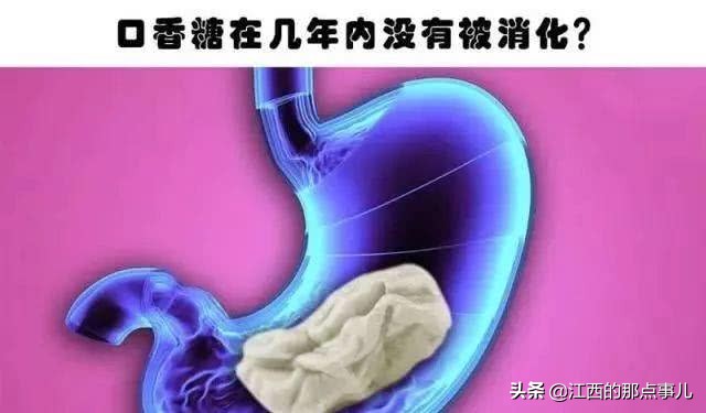 骆驼驼峰是储存什么（冷知识：骆驼把水储存在驼峰里？）