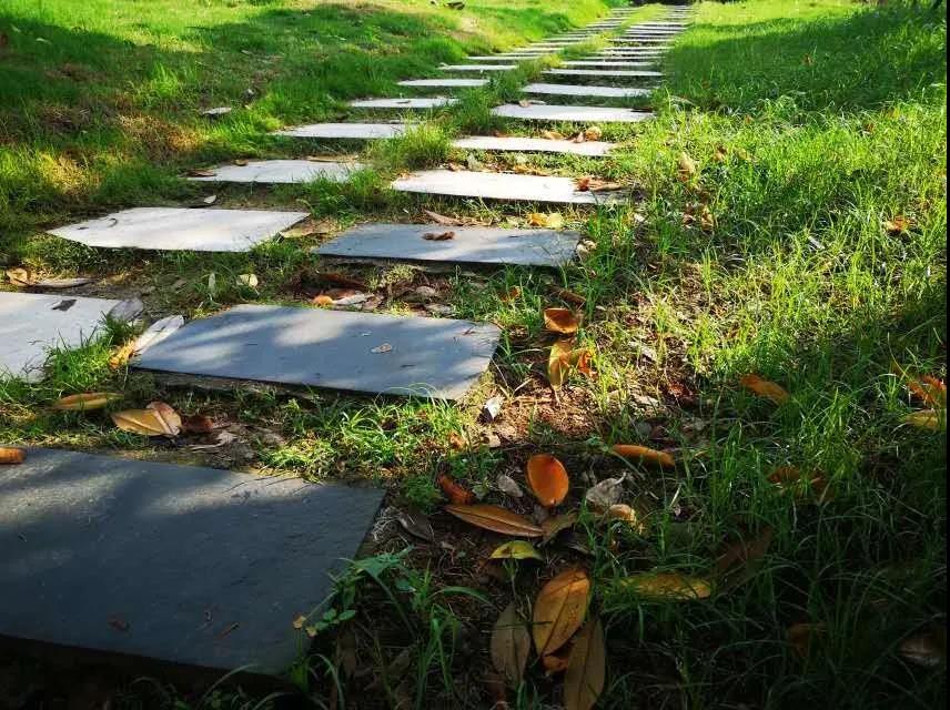 走出蛟龙号设计师、世界五百强总裁，创下多个第一，南华大学超火