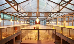 没想到，西北农林科技大学竟然有“两副面孔”