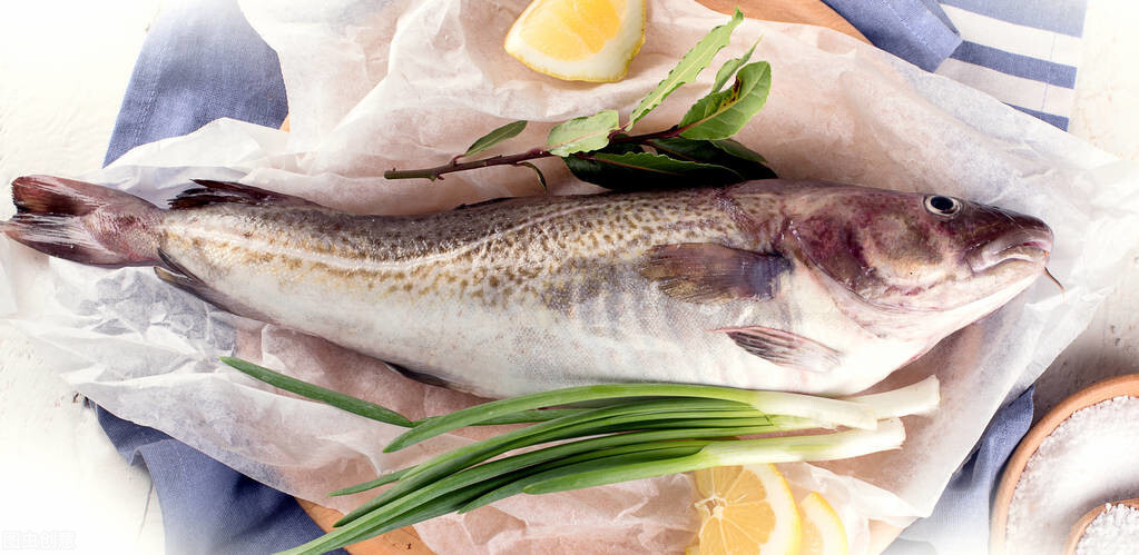 市场上卖的鳕鱼都没有头呢?它的头哪里去了,有什么秘密?