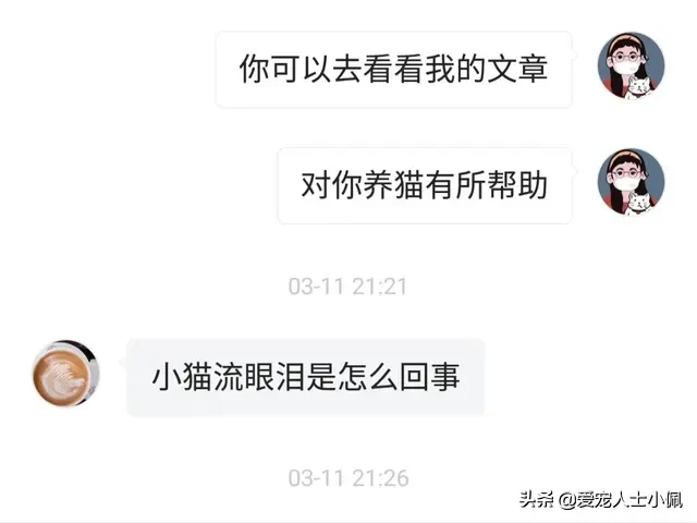 猫咪为什么会流眼泪？是猫咪感觉到了悲伤还是猫咪生病了？