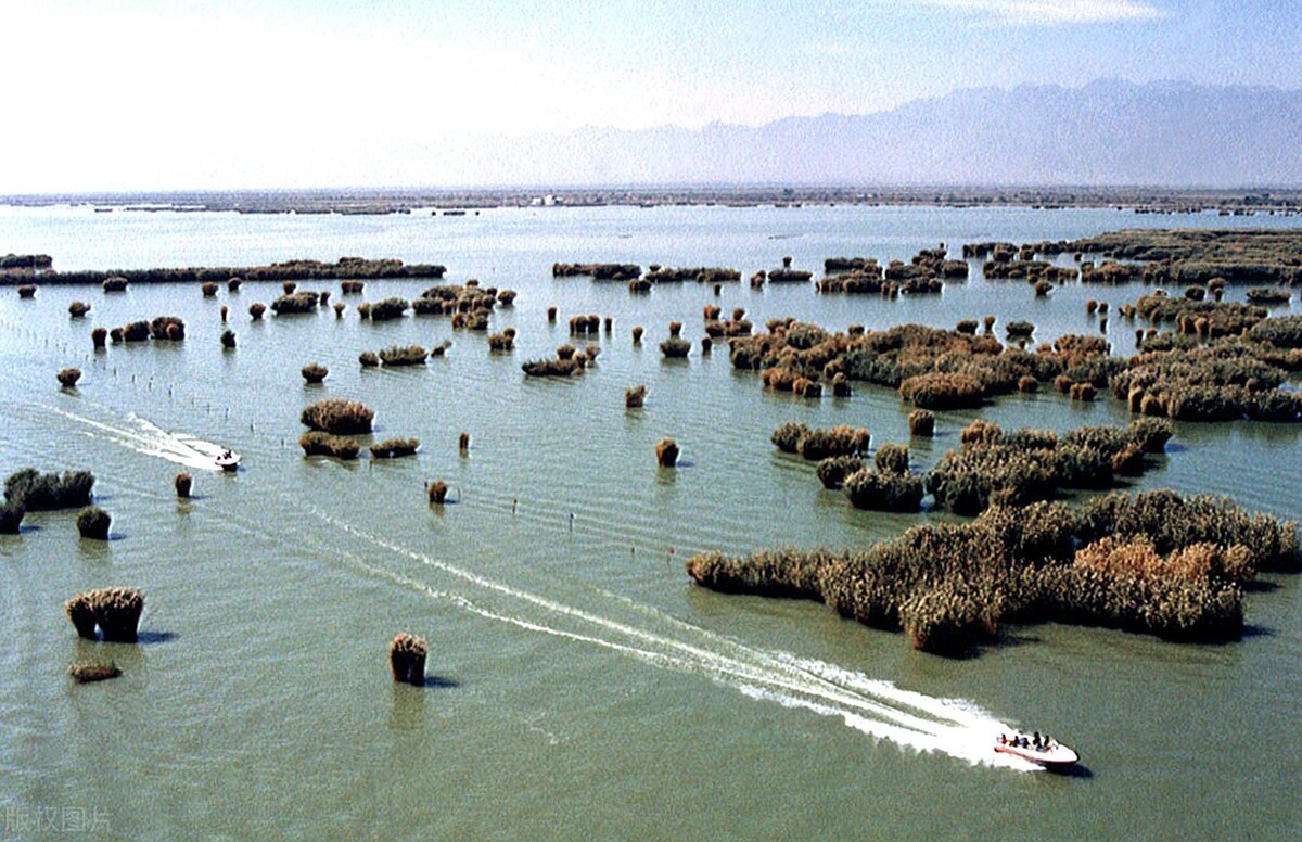 2021年艺考生你能上本科吗？八省最新发布的艺术类最低录取控制线