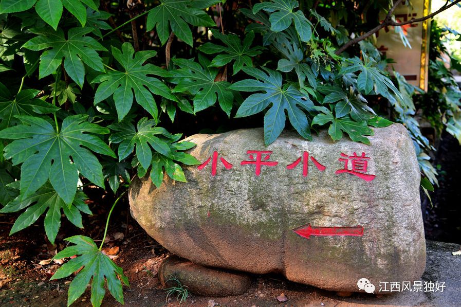 朱 虹：江西十景 美轮美奂（二）