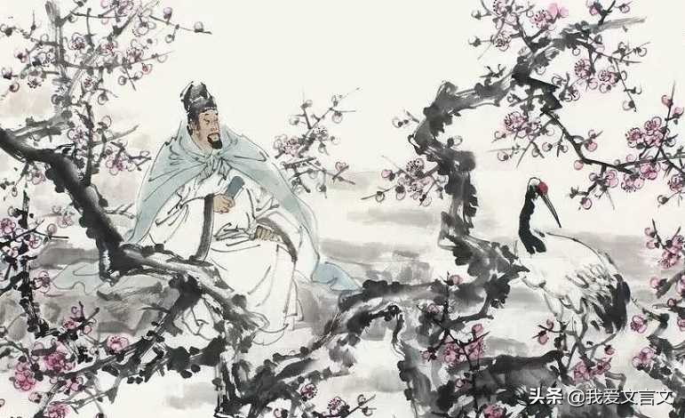 经典文言文赏析 | 林逋养鹤