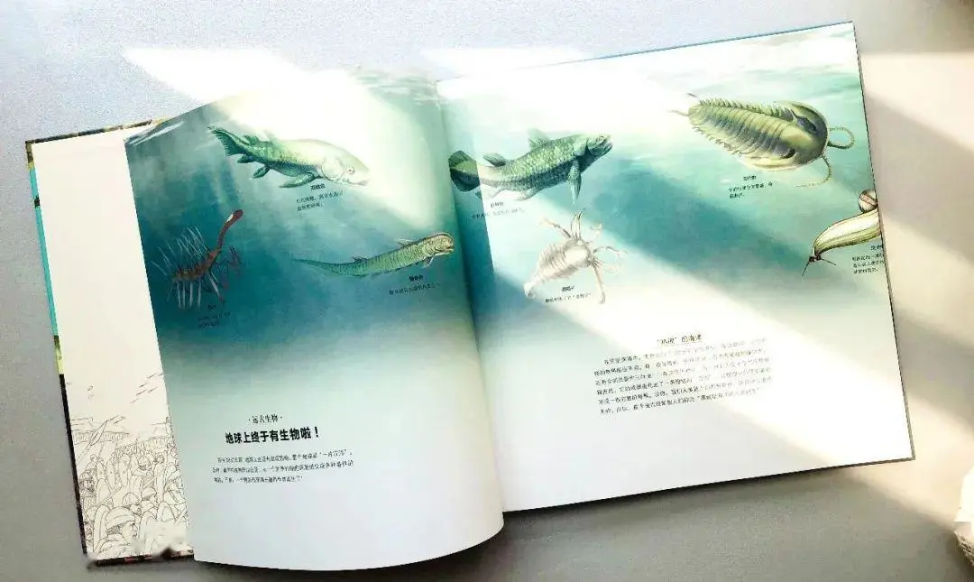 14岁河南高考状元，750分考进清华：苟且的父母，养不出优秀孩子