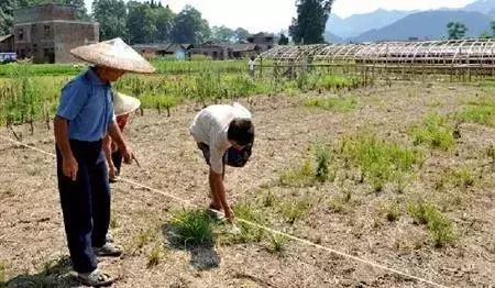 土地亩数怎么算?怕土地面积被少算?学会这套公式,齐活了