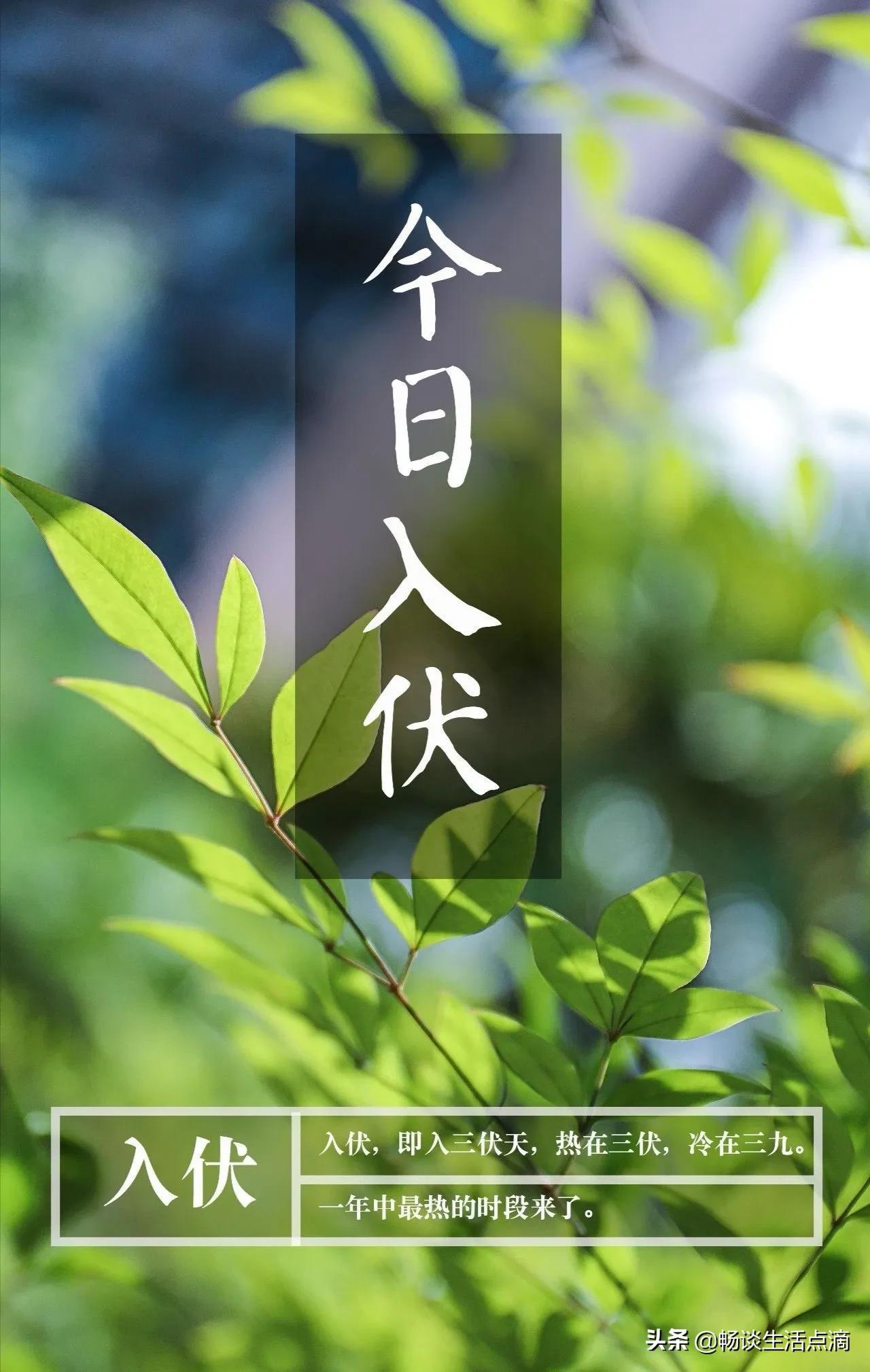 2021年三伏天是什么时间?什么是三伏?怎样起算?网上学习来了