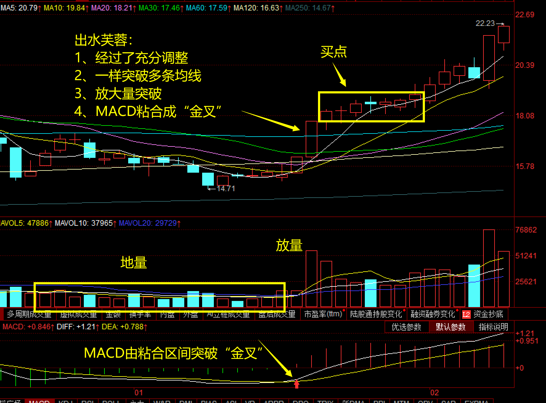 股票干货:出水芙蓉,大牛股盛开了花