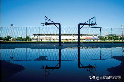 这三所大学，每年只招1000人！毕业到政府工作！这几个省录取分低