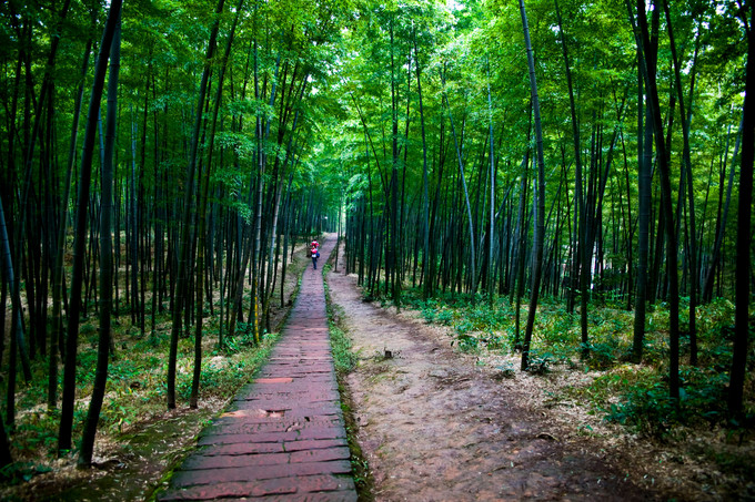 《卧虎藏龙》《十面埋伏》取景地，玩转蜀南竹海全攻略