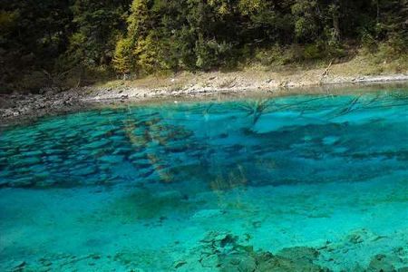 绵阳哪些专科学校好，见绵阳专科批分数线排名