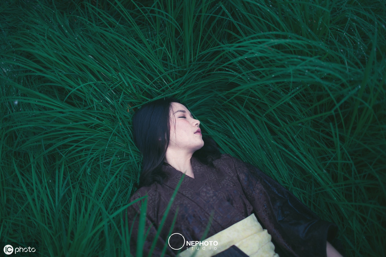 李清照经典诗词全集赏析，每首都美如画