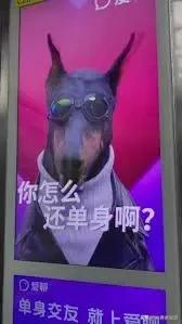 交友软件爱聊用户超1亿,被批大量机器人陪聊,套路圈钱,广告涉嫌歧视单身