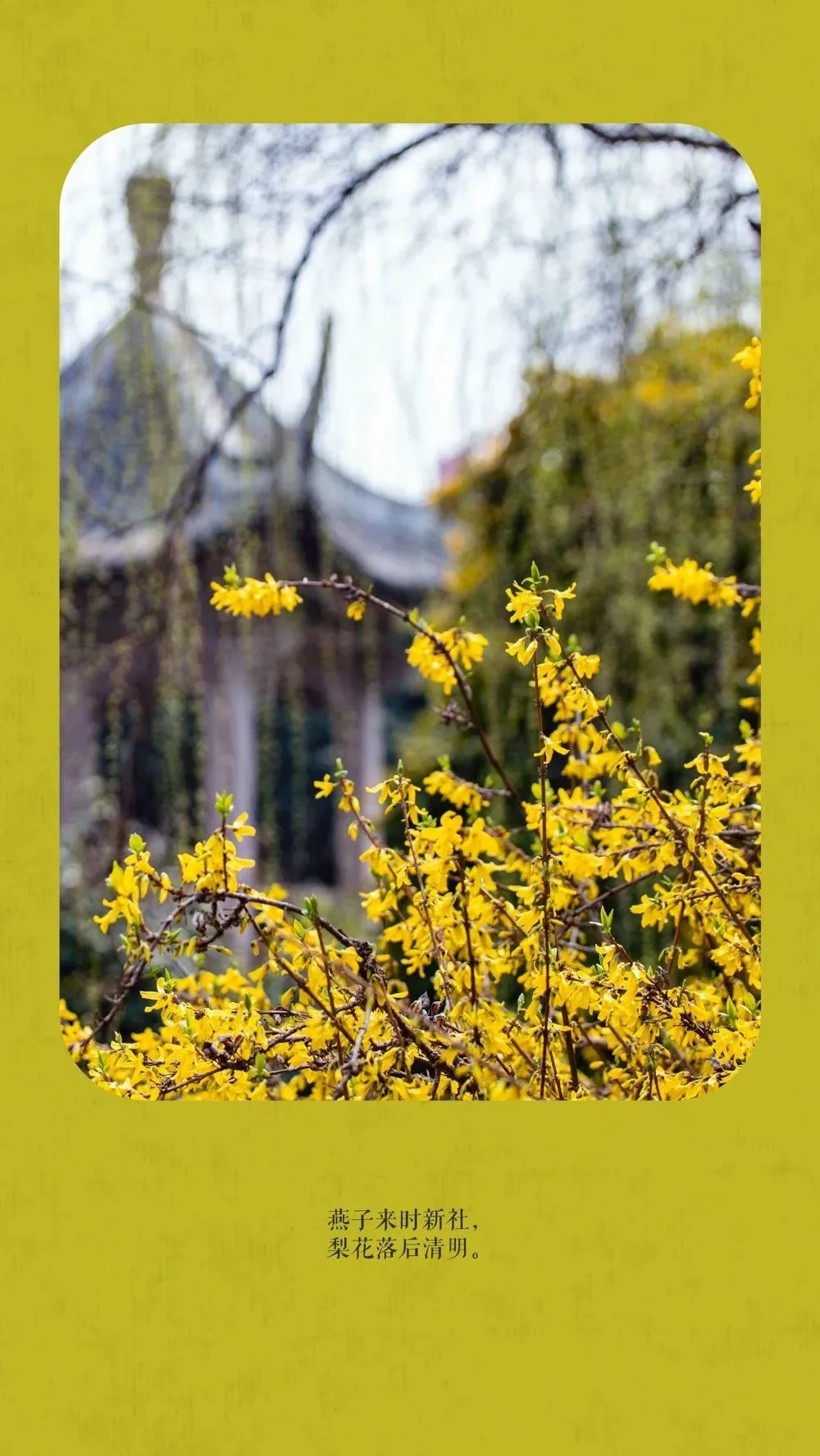 中国这10所大学壁纸第二期！厦门大学、中山大学等在列