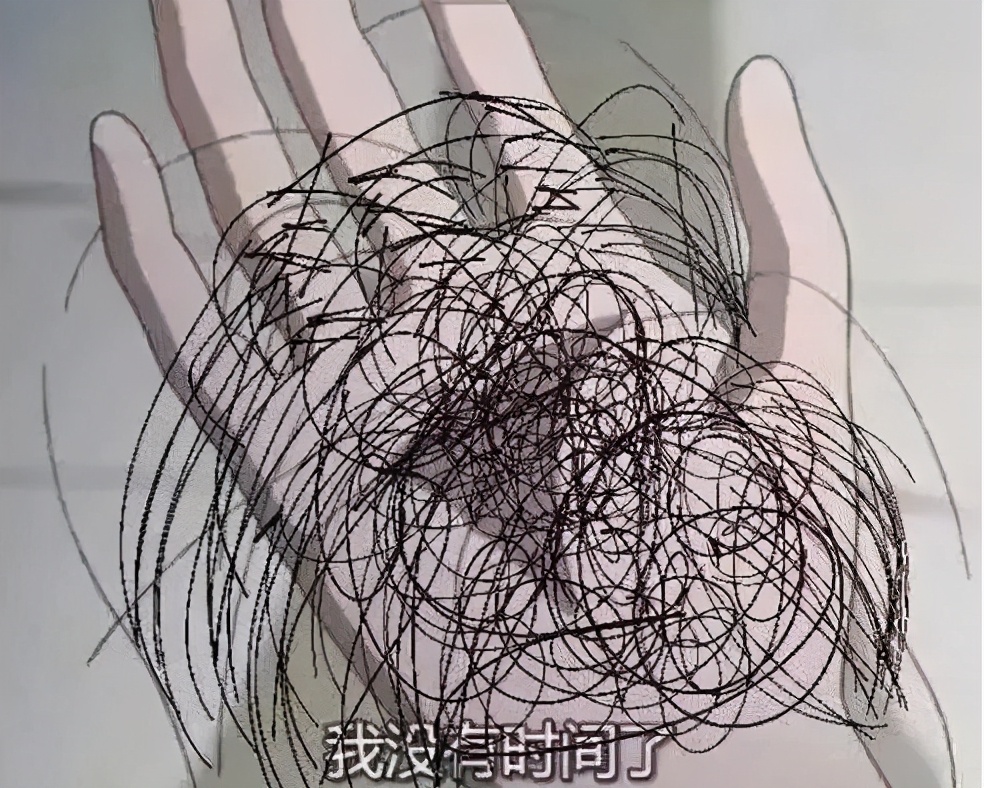 大学“越学越秃”4大专业，生发灵都拯救不了，有你的专业吗？