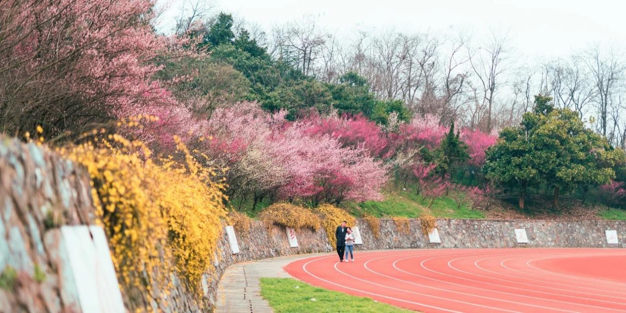 重磅！教育部最新通知：南京工业大学新增3个本科专业！