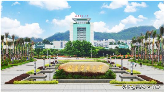 这些茶学专业的高校你知道吗？