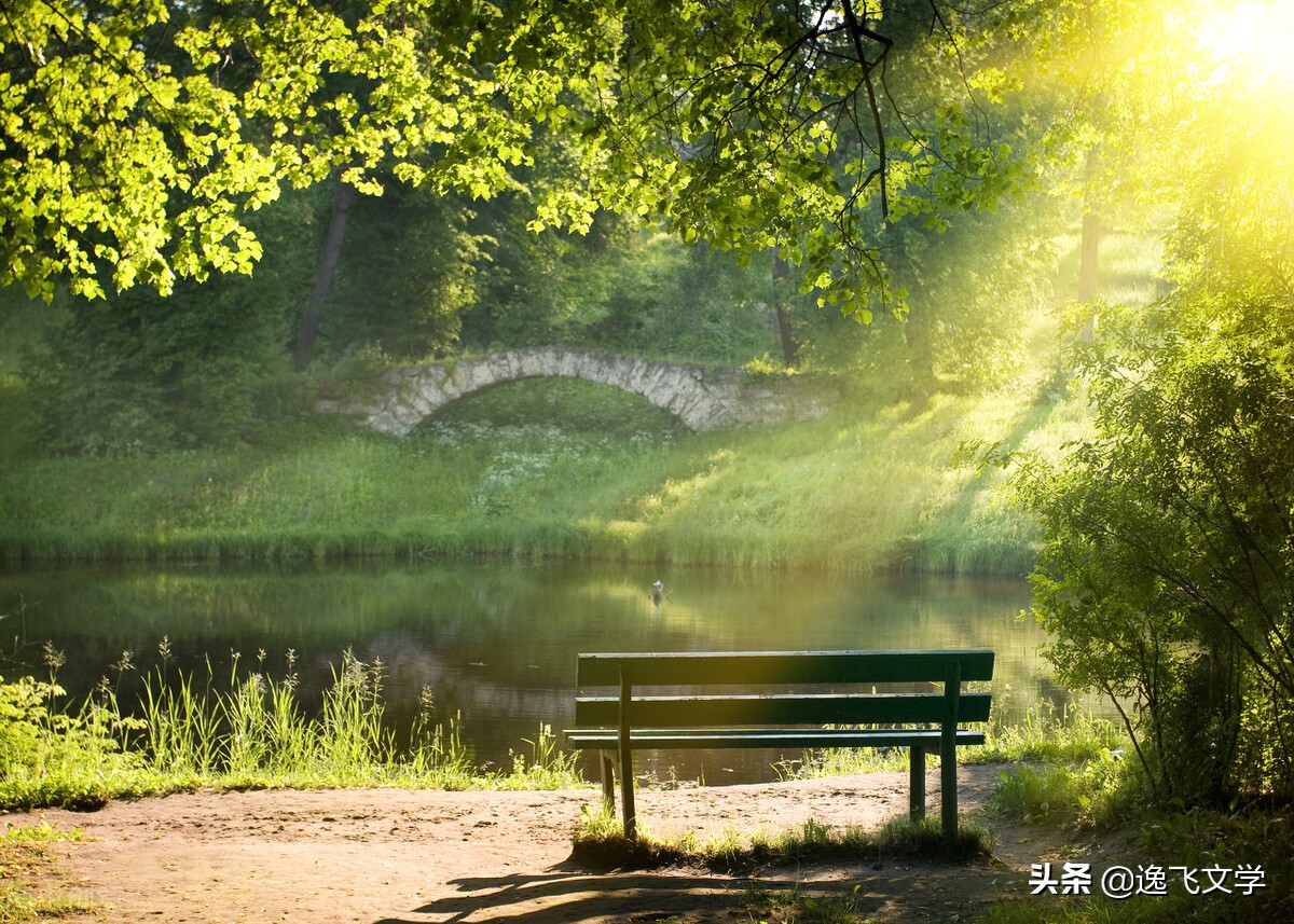 「散文」 湖边风情