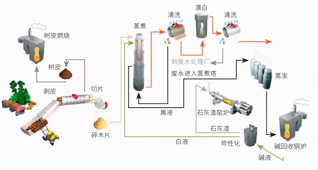 纸浆漫漫阴跌，亟待消费改善