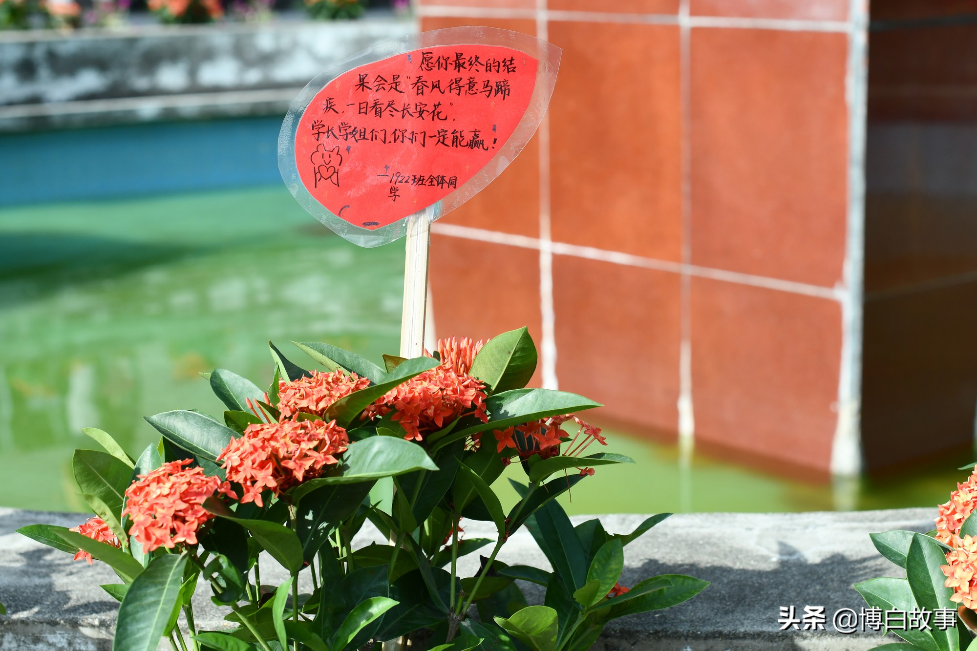 广西博白县中学做了大量工作，确保考生以最佳状态参加高考