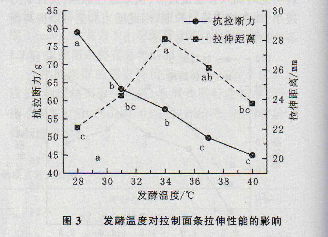 乳酸菌发酵拉制面条工艺及品质的研究