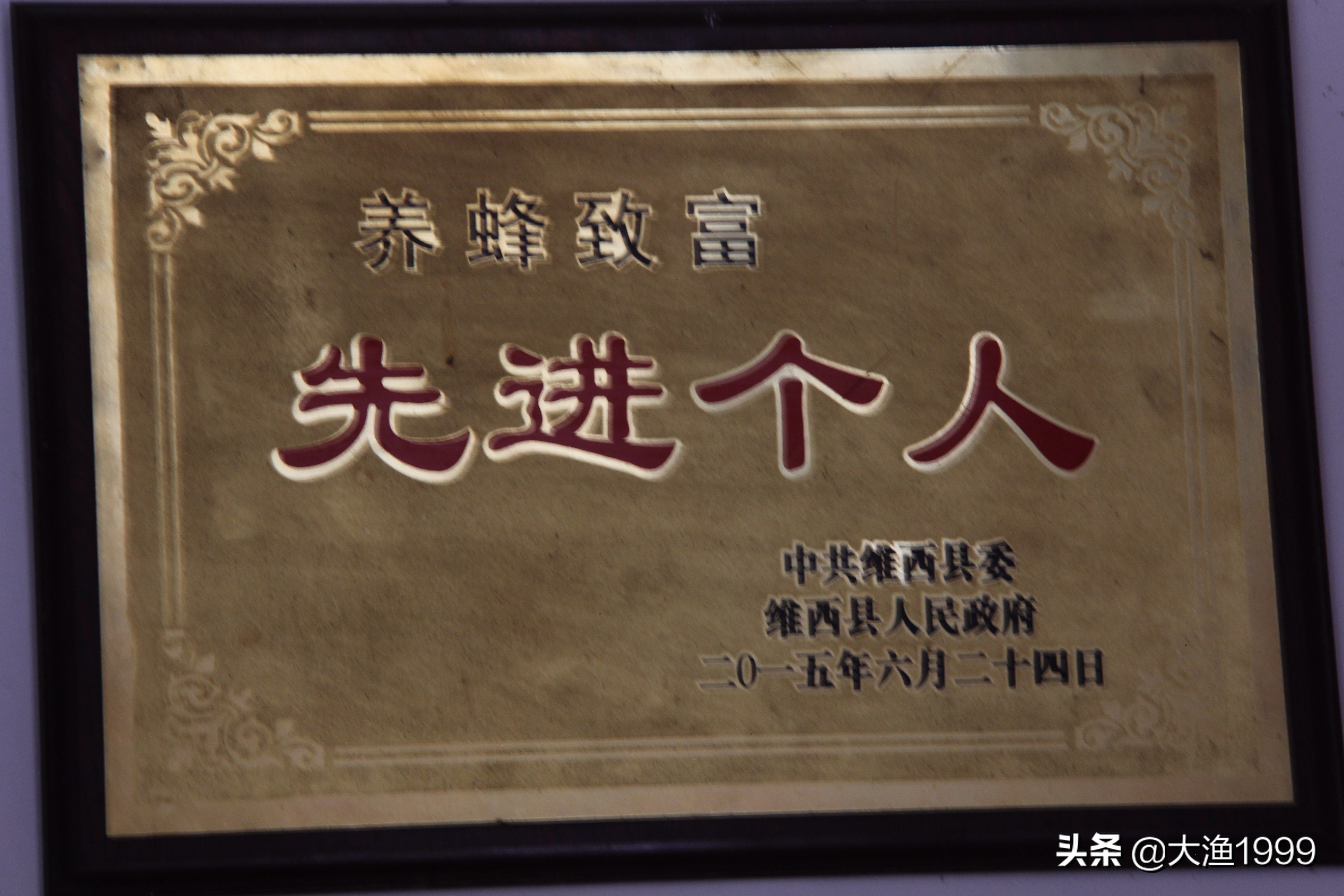 寻找最天然蜂蜜：到云南维西傈僳山寨品尝百花野蜂蜜