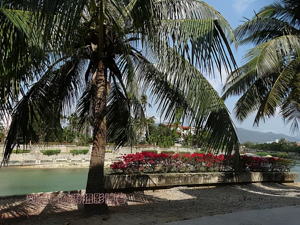 难言之隐：“软毒品”槟榔的千亿帝国，让6000万国人嚼个不停