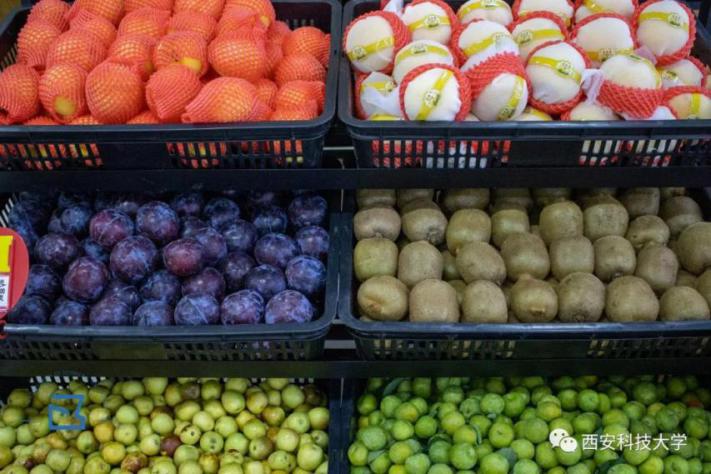 新学期新气象！西科大秦汉校园正式亮相，配备摆渡车方便出行