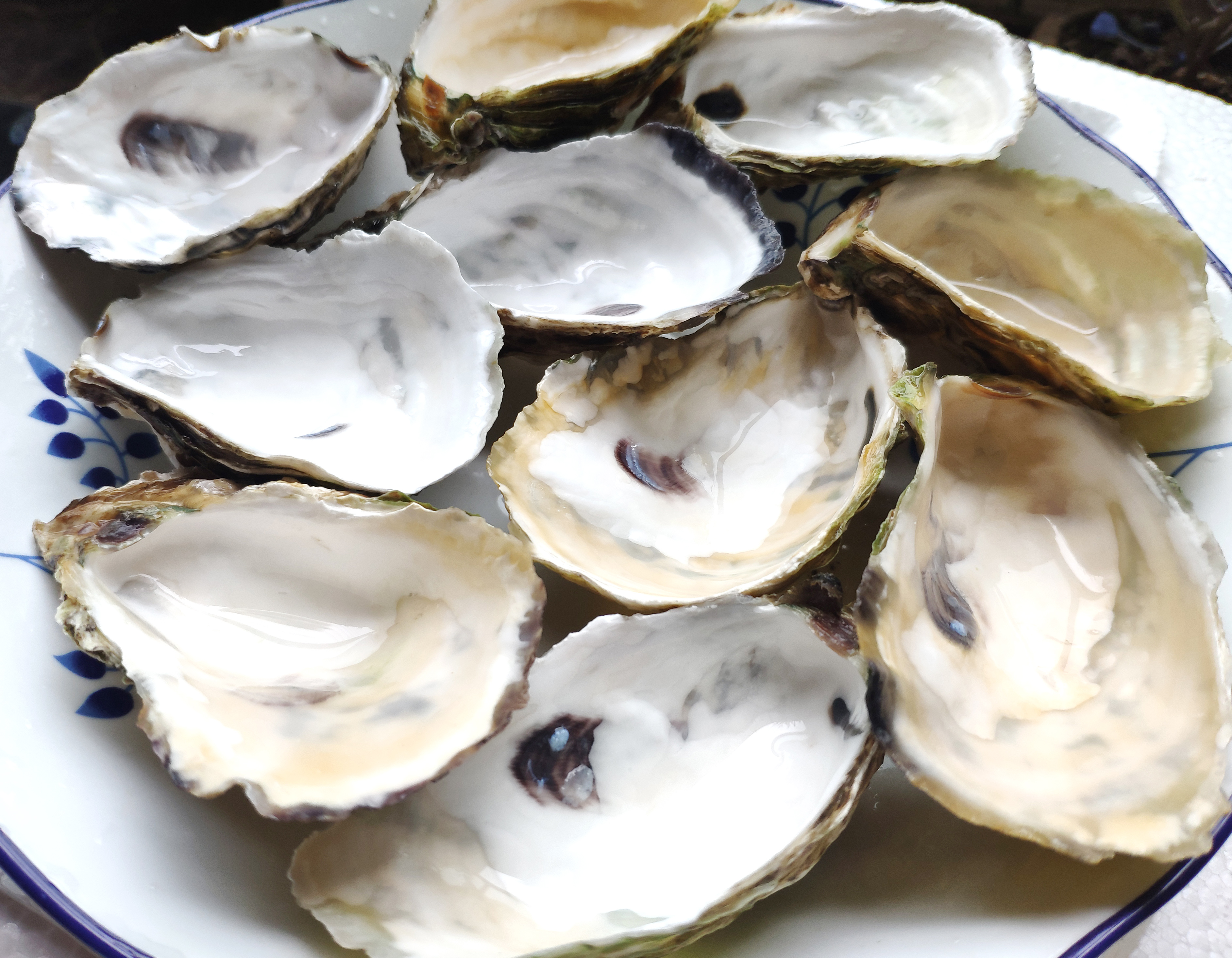 3,选10个肥大的蚝肉放进摆好盘的生蚝壳里备用.