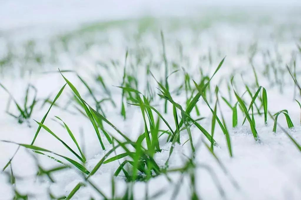 俗语“雨里夫妻泪交流，雪里夫妻不到头”，难道雨雪天结婚不好？