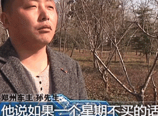 二手车到手里程表骤增6万 商家：谁卖车都会这么干