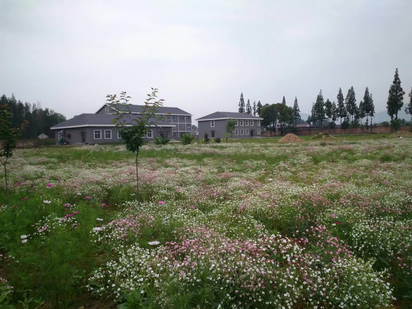 从太白山上到渭水河畔，这所211高校到底有多“大”？