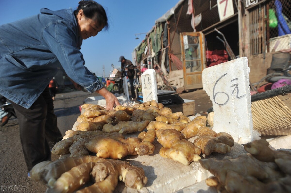 经典股市题材小说连载排行榜：聚焦投资智慧与人性博弈的畅销佳作