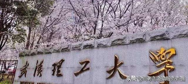 武汉理工大学专业排名2017（武汉理工大学优势专业分析及2019）