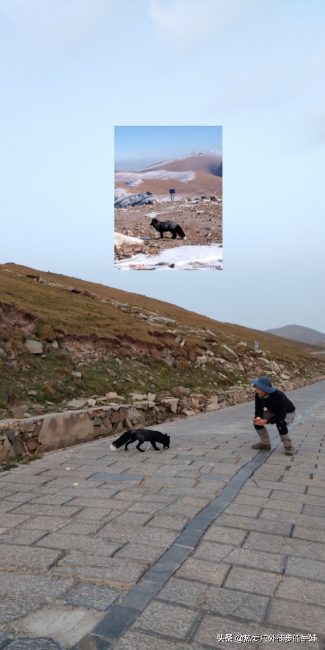 徒步五台山，再续狐仙缘