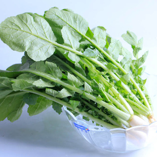 萝卜缨子的功效与作用(它其实是美味) - 行就行