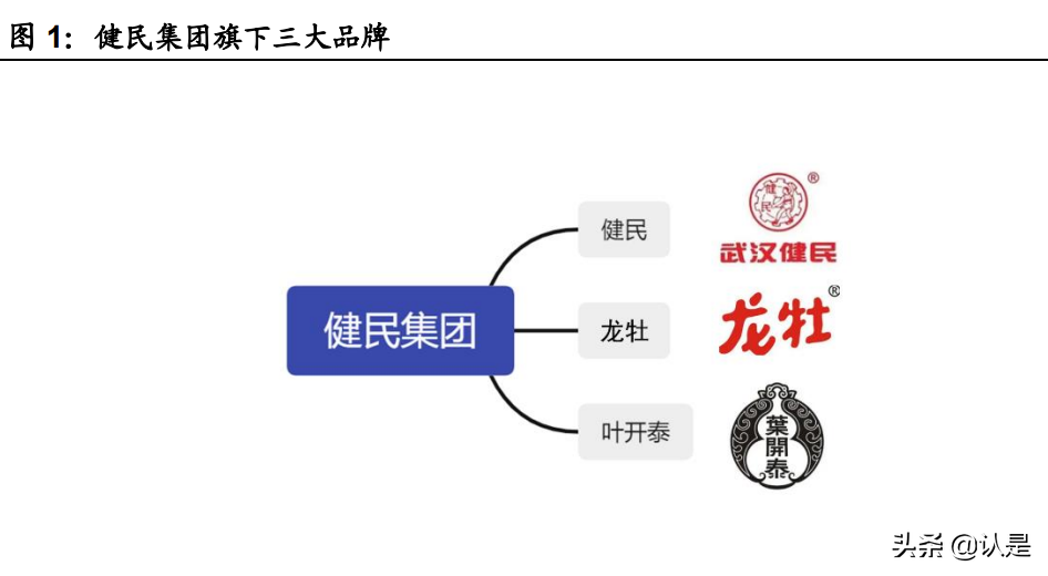 健民集团专题研究：百年叶开泰，谱写业绩新篇章