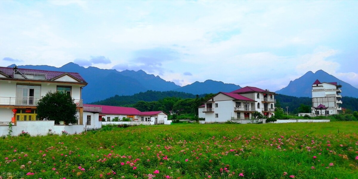 话语策略与高中英语写作教学