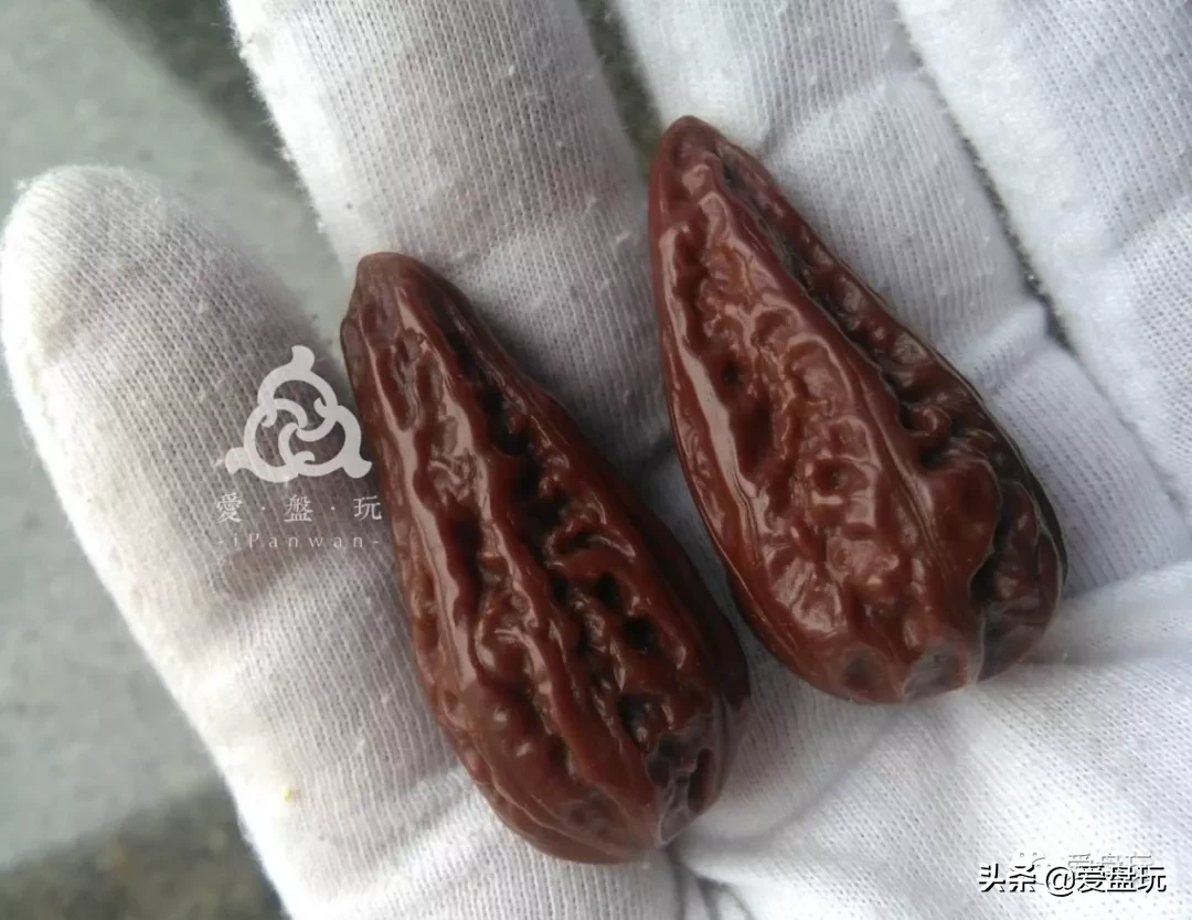 能在山上“白嫖”的10种手串,包浆超美